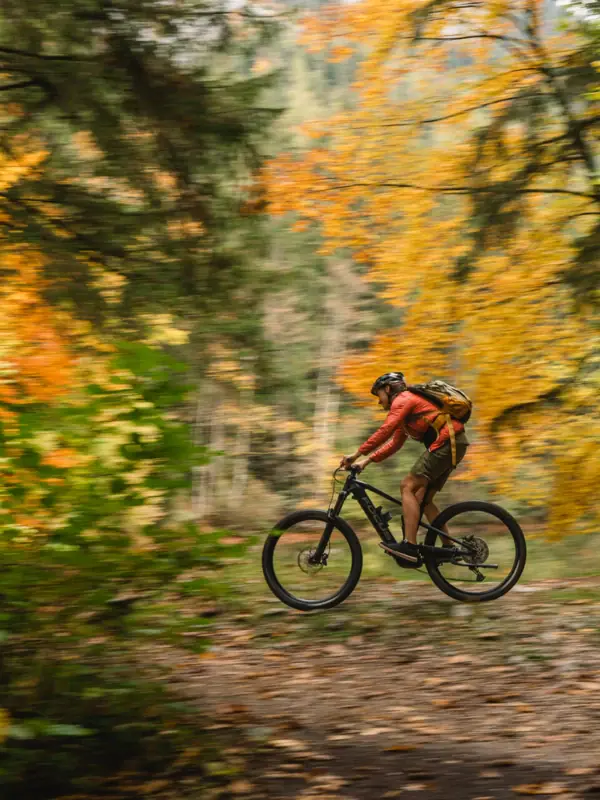 A person is cycling through the woods.