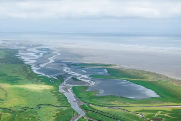 Die Küste von St. Peter-Ording von oben fotografiert, mit den Salzwiesen, dem Strand und der Nordsee.