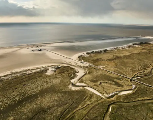Salt marshes at St Peter-Ording The salt marshes at St Peter-Ording, with clouds in the sky and the coastline.