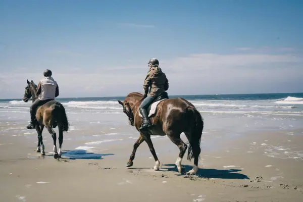 Horse riding on the beach – riding area between the village and Böhl, Two people are riding horses on the beach in the riding area between the village and Böhl.