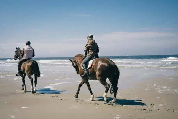 Zwei Personen reiten auf Pferden am Strand.