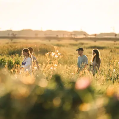 Specials Four people are walking through a field bathed in warm colours by the low-set sun.