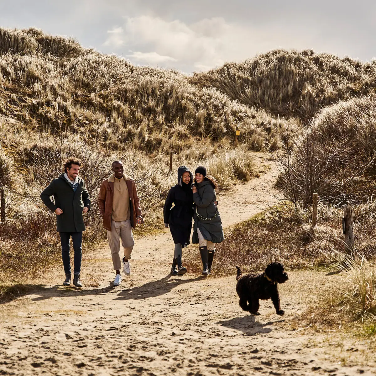 St Peter-Ording with a dog A group of people are walking along a path through the dunes towards the beach with a dog in St Peter-Ording.