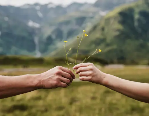 Eine Hand reicht einer anderen eine Blume und Berge sind im Hintergrund zu sehen.
